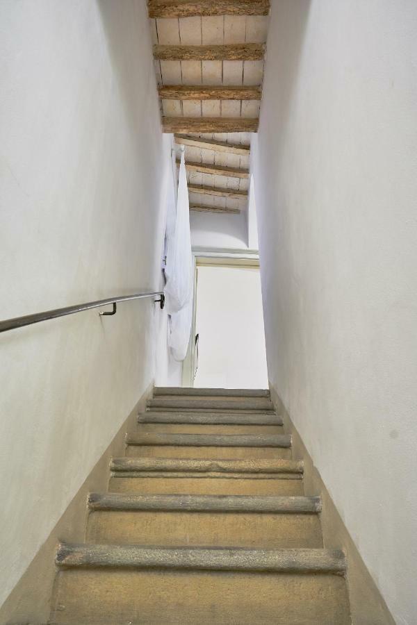 Casa Laurentius Pisa Kültér fotó